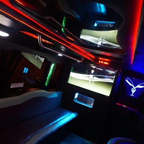 Houston Party Bus Lounge Mega 45 Passenger