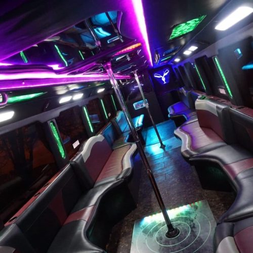 Houston Party Bus Lounge Mega 45 Passenger