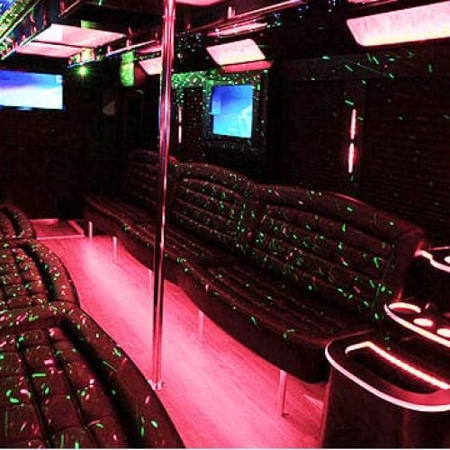 Houston Party Bus Lounge Plus 28 Passenger