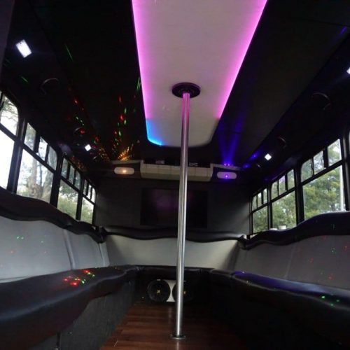 Houston Party Bus Lounge S 20 Passenger interior