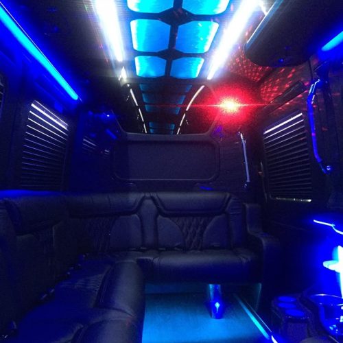 Houston-Party-Bus Lounge-Sprinter-interior4
