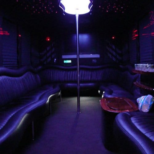 Houston Party Bus Lounge X 20 Passenger