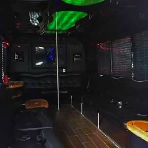 Houston PartynBus Lounge XL 32 passenger